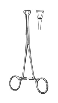 Pensa intestinala Babcock