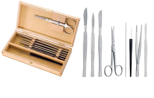 Trusa instrumentar disectie post-mortem