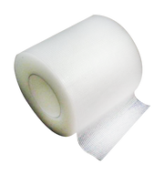 Airoplast, leucoplast transparent