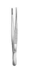Pensa anatomica standard