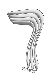 Specul vaginal Kristeller